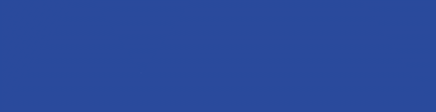 logo_animado_domestika